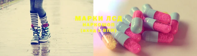 амф Сосновоборск