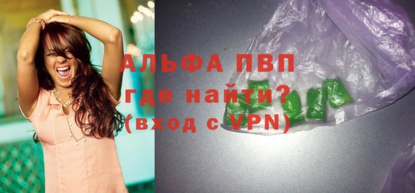 прущие грибы Горнозаводск