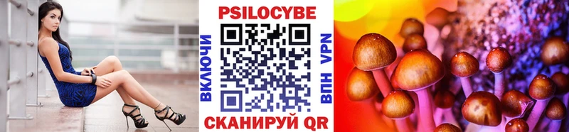 ОМГ ОМГ   Еманжелинск  Галлюциногенные грибы Psilocybine cubensis 